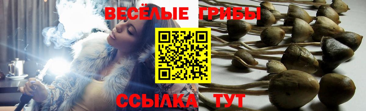 Галлюциногенные грибы ЛСД  Вход с VPN  дарнет шоп  Советский  Псилоцибиновые грибы Psilocybine cubensis 